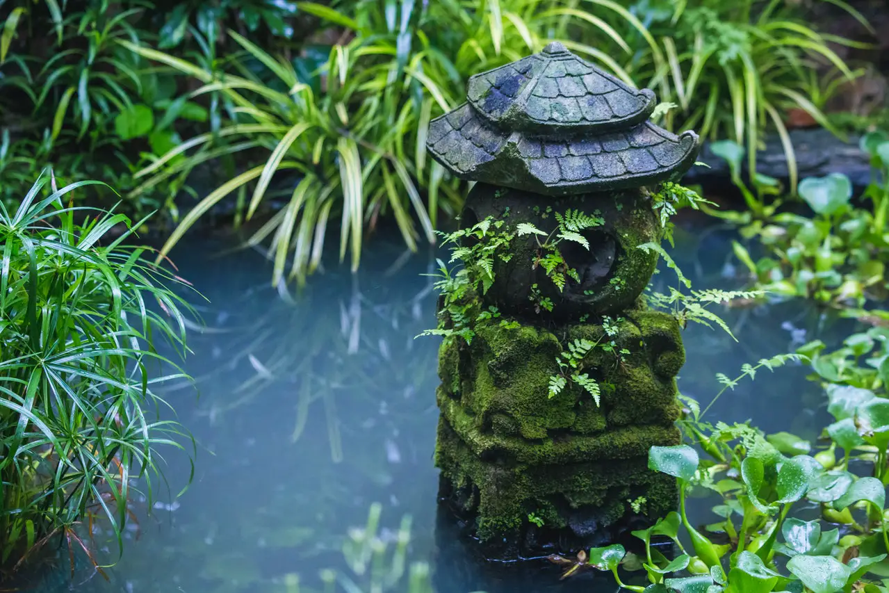 A small pond surrounded by lush plants and paper reeds. A moss covered stone lantern sculpture sits in the middle.