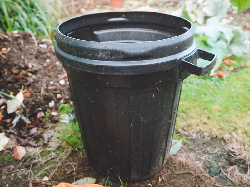 A Guide To Growing Fruit Trees In Containers Mini Garden Spaces A Guide To Growing Fruit Trees In Containers Mini Garden Spaces