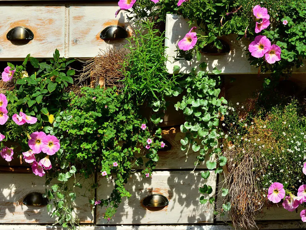 Vertical planters filled with trailing plants and petunias.