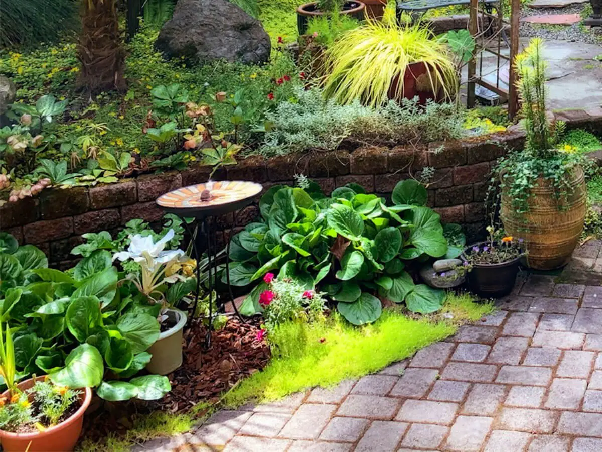 A small garden in partial shade. It has a curved border filled with plants and reclaimed items, and a paved patio.