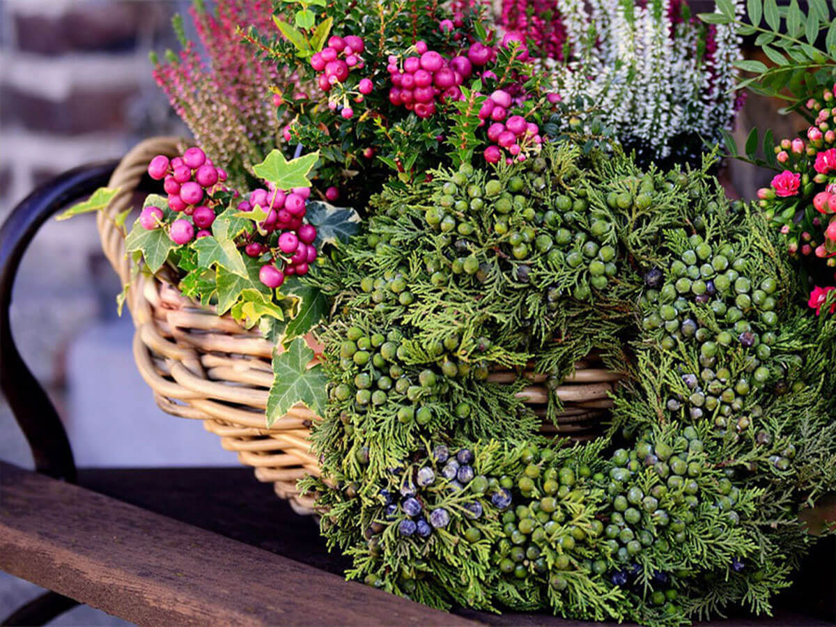 A wreath next to a winter hanging basket.